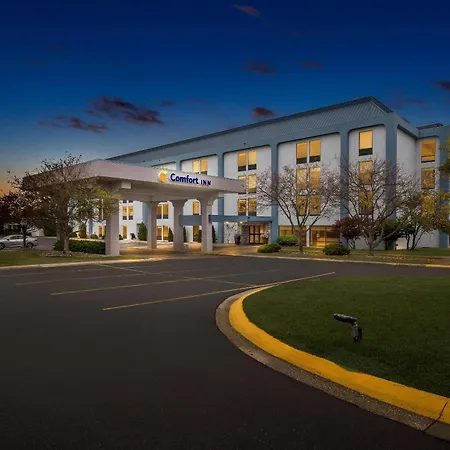 Comfort Inn Cadillac-2